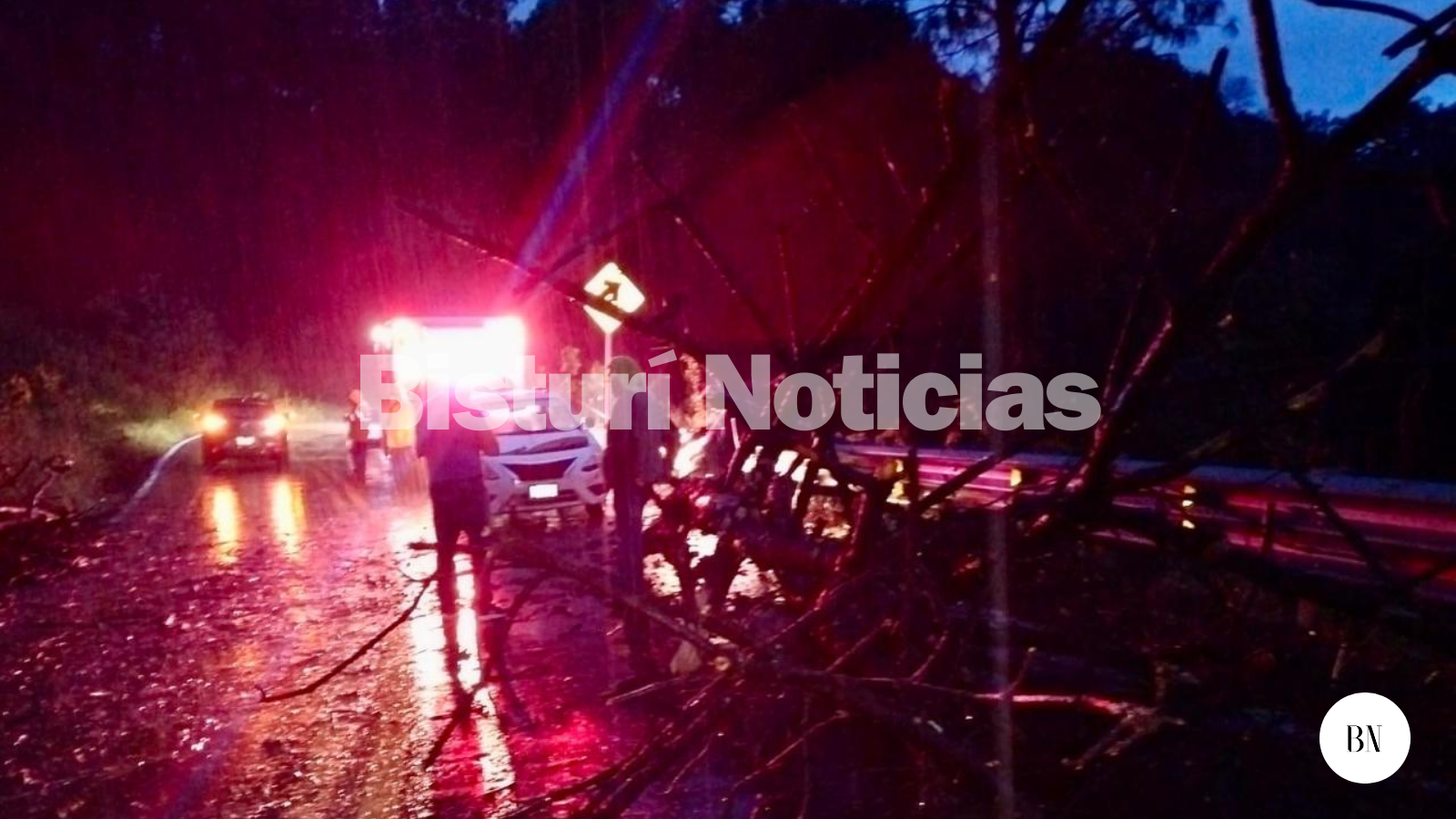 Aplastó árbol a taxi en la   Toluca-Cd. Altamirano